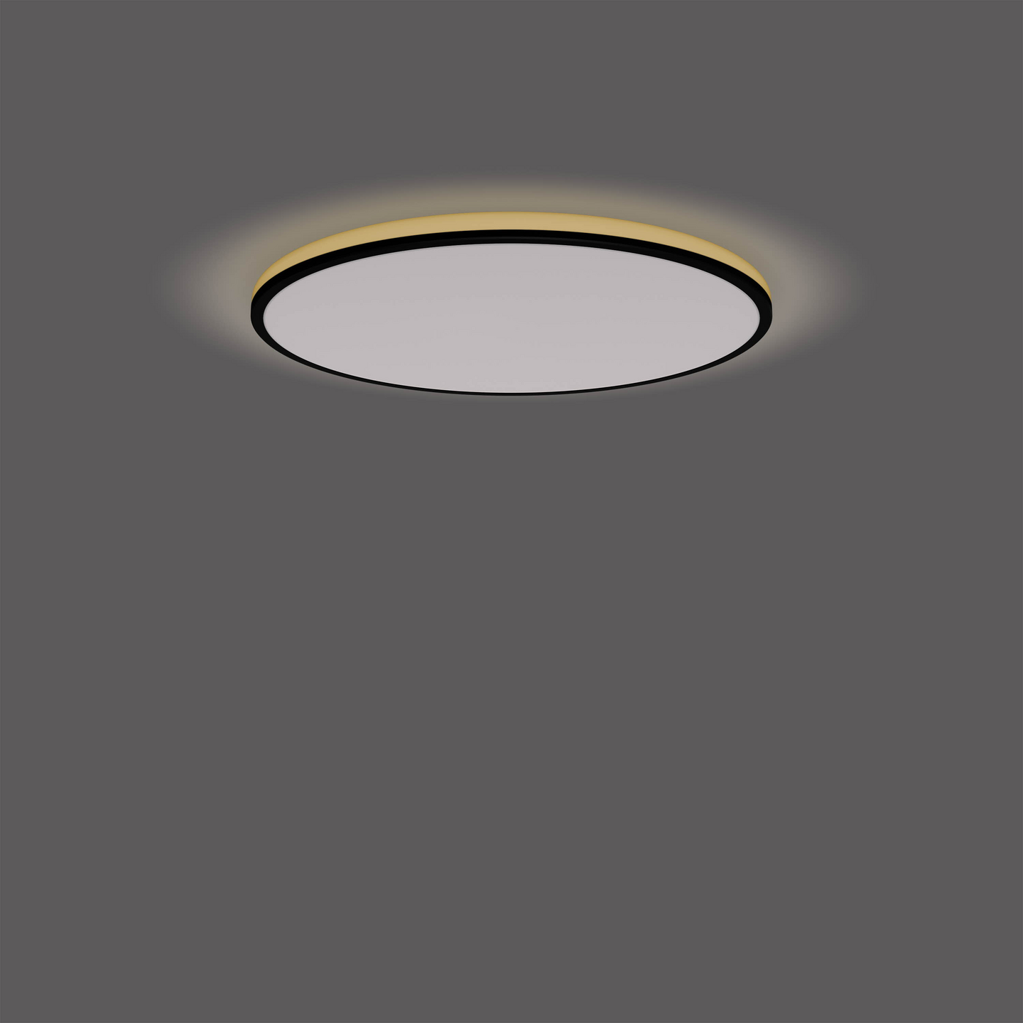 Kattovalaisin Philips Ozziet musta 22W 2700K