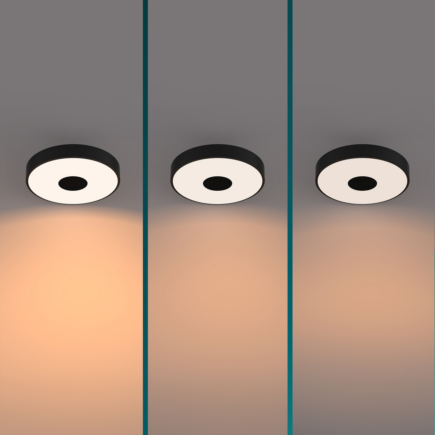 Kattovalaisin Philips Coiner SS RD 24W B 2700 LM - 2700K