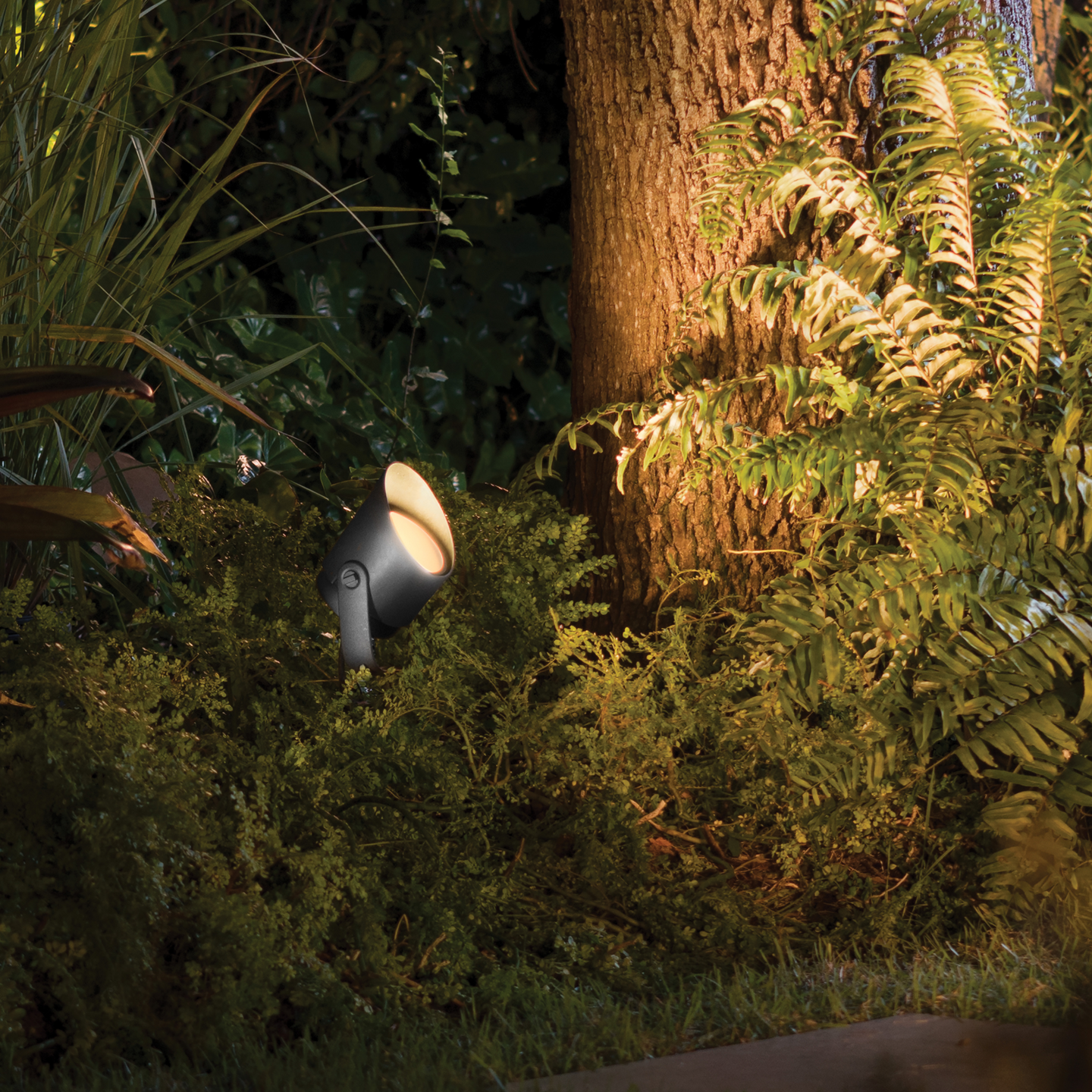 Ulkospottivalaisin Philips Hue Lily XL 1050lm