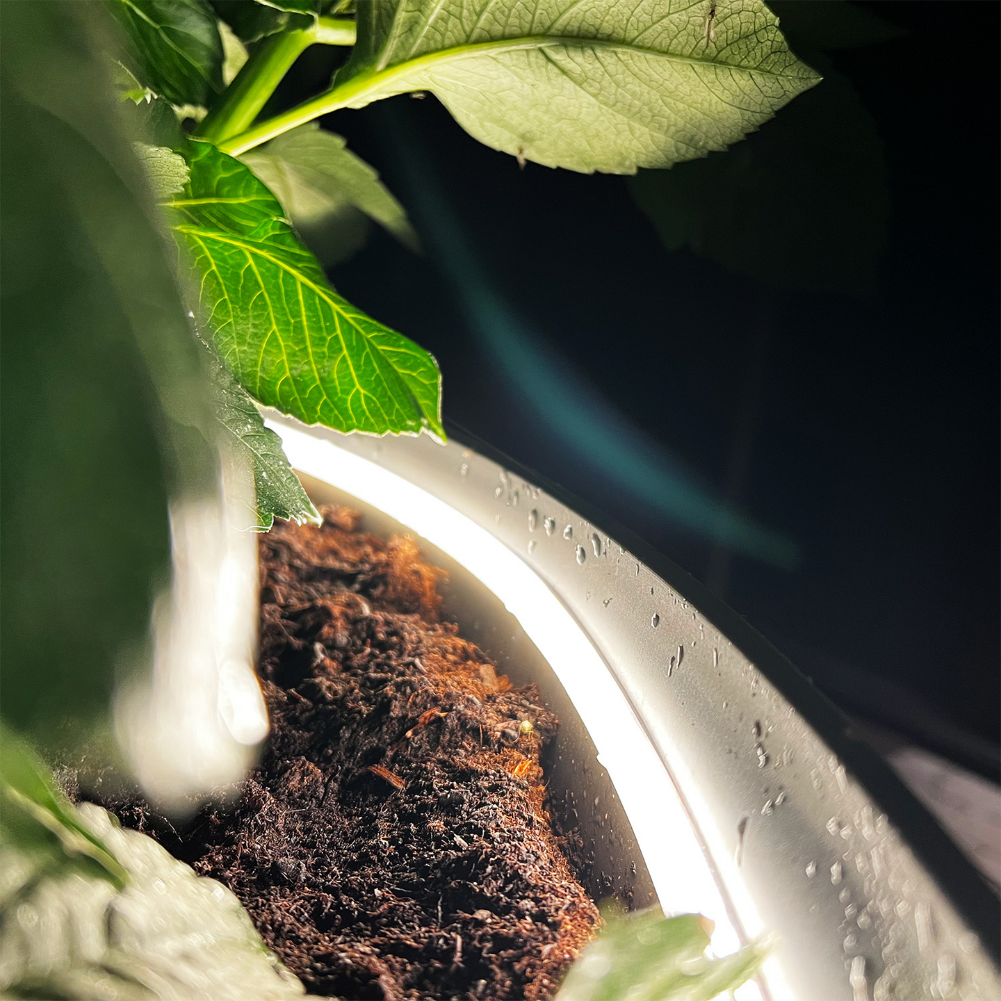 BELYSNING LIGHTSON TRÄDGÅRD STRIP 2,5M