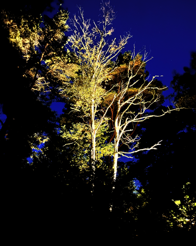 MARKSPOT LIGHTSON COSMO MÖRKGRÅ