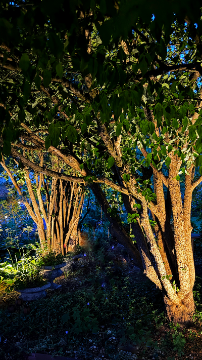 MARKSPOT LIGHTSON STELLA MÖRKGRÅ