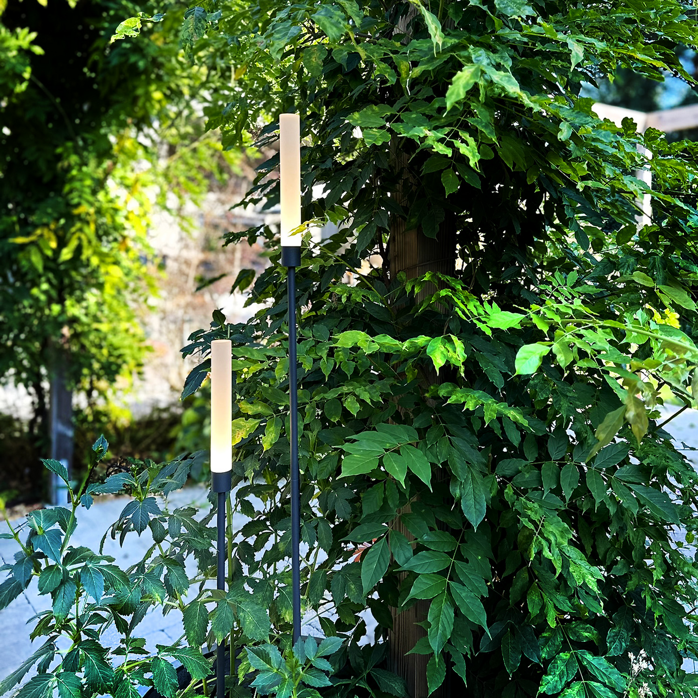 BELYSNING LIGHTSON TRÄDGÅRD FROST