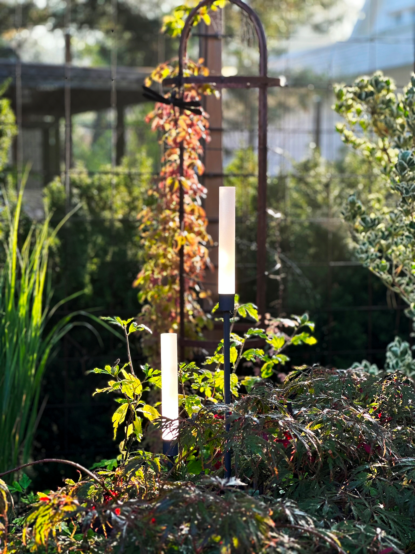 BELYSNING LIGHTSON TRÄDGÅRD FROST