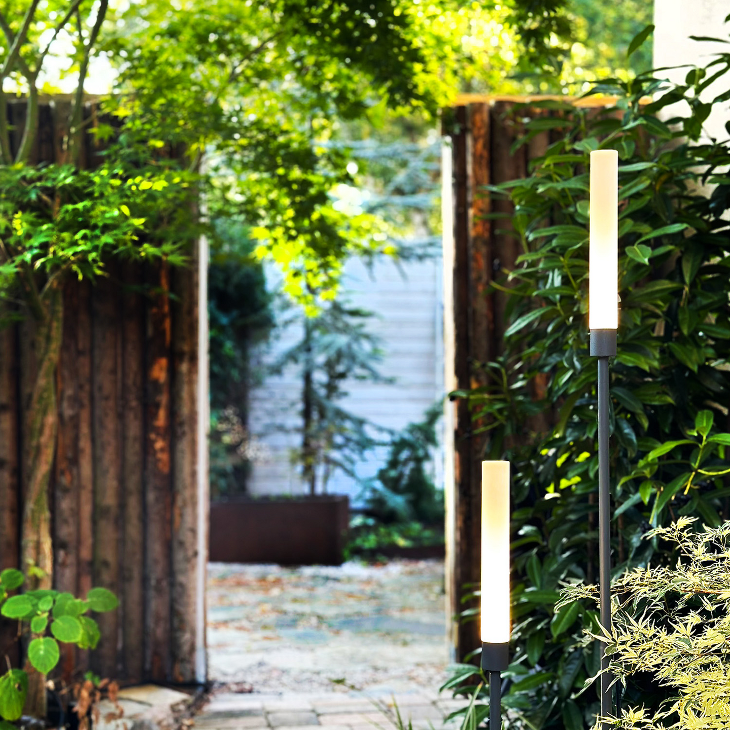 BELYSNING LIGHTSON TRÄDGÅRD FROST