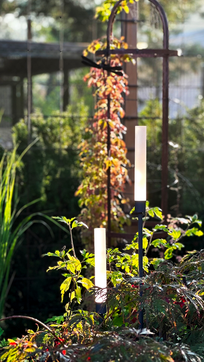 BELYSNING LIGHTSON TRÄDGÅRD FROST