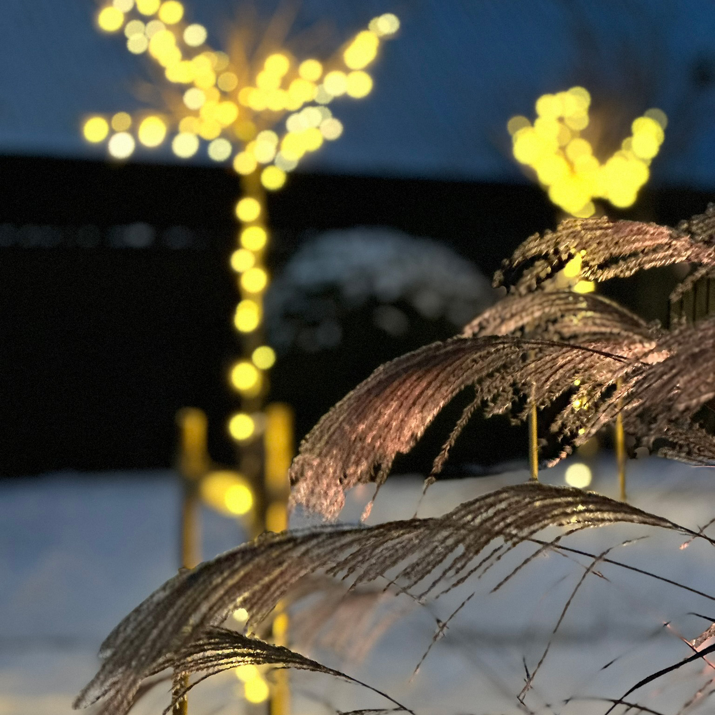 LJUSSLINGA LIGHTSON GLIMMER 100LED 10M