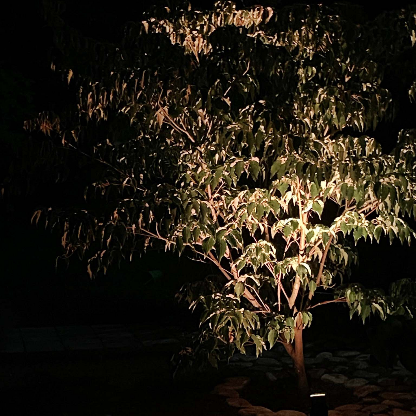 MARKSPOT LIGHTSON NOVA SMART