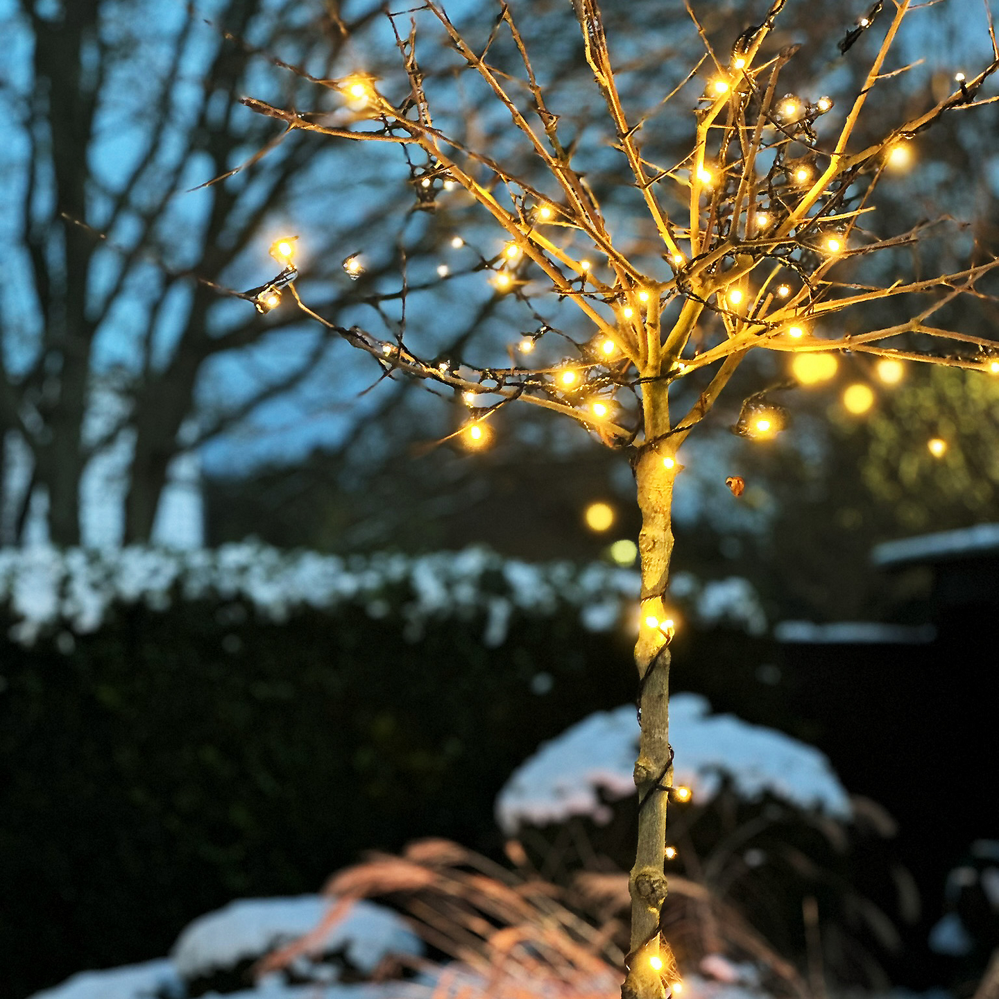 LJUSSLINGA LIGHTSON GLIMMER 100LED 10M