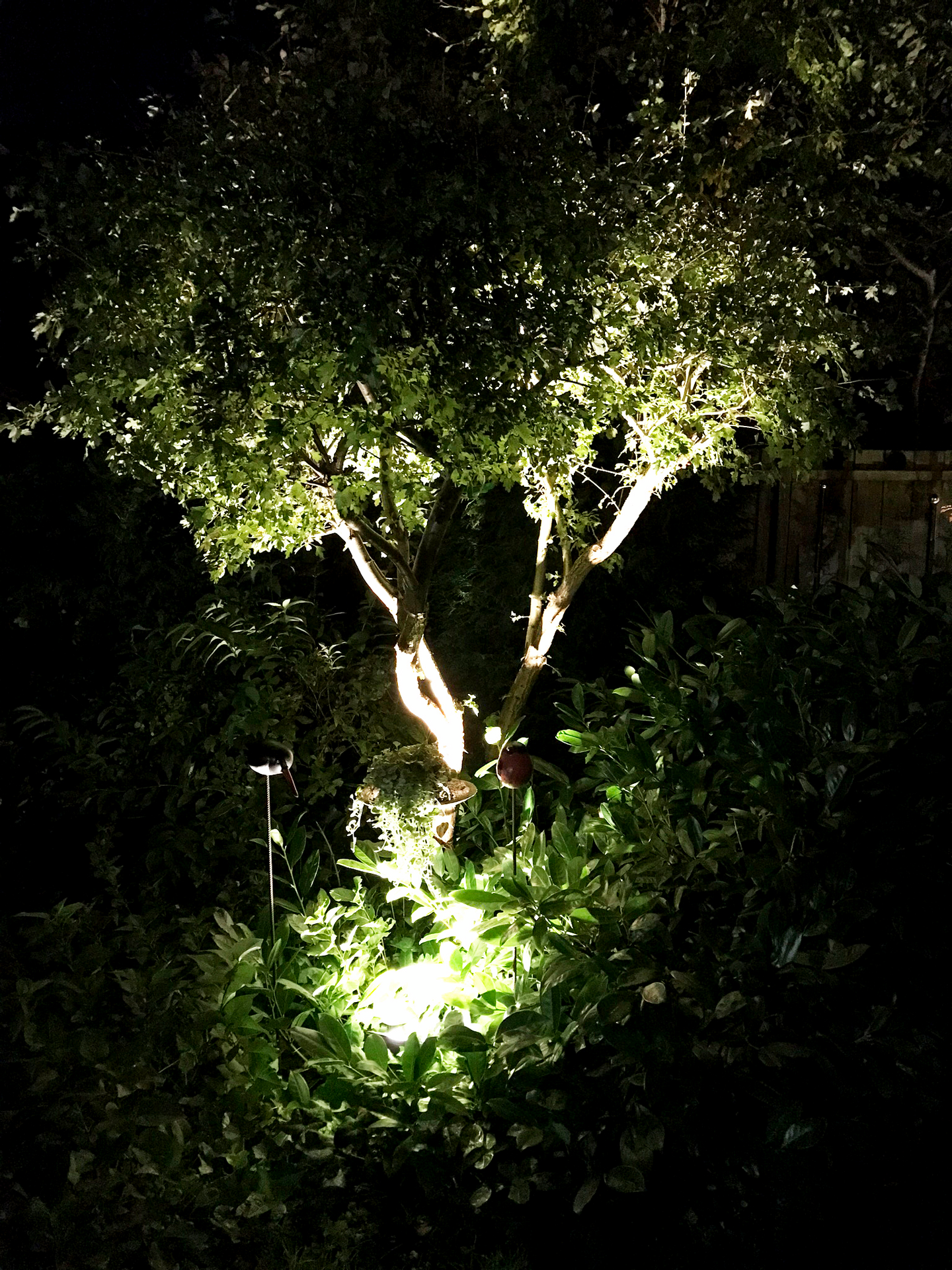 MARKSPOT LIGHTSON MEDUSA 8W 9CM