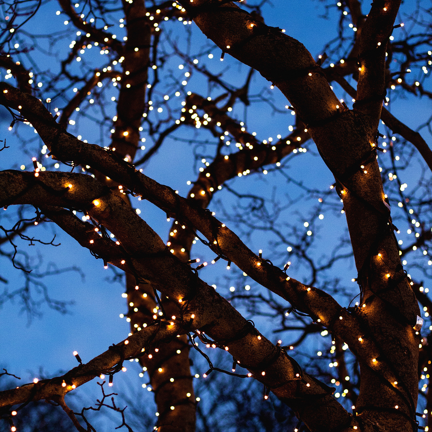 LJUSSLINGA LIGHTSON GLIMMER 100LED 10M