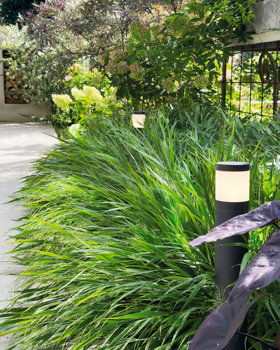 POLLY POLLARE LIGHTSON