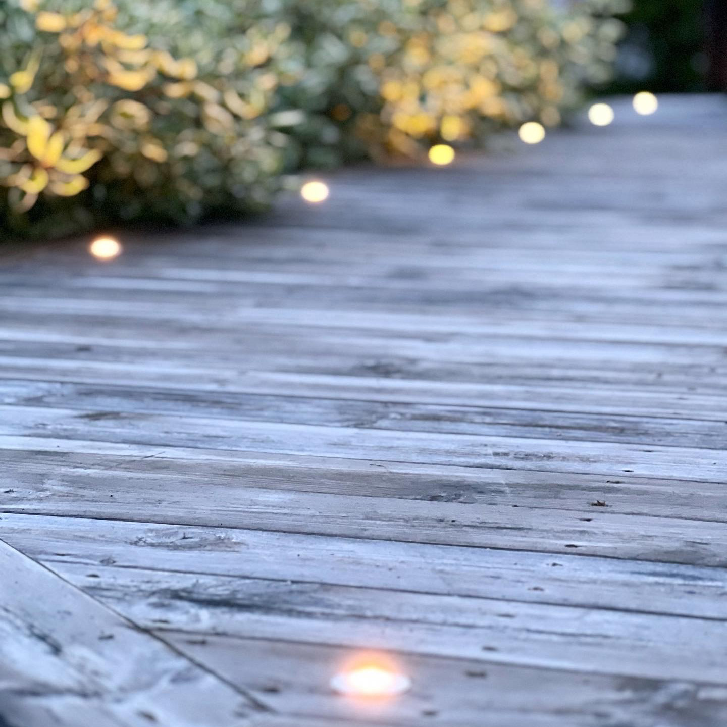 DEXTER LIGHTSON DECKLIGHTS 10-PACK LIG