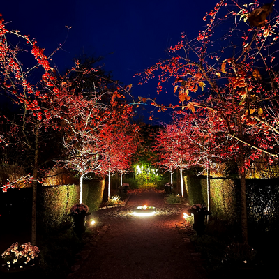 MARKSPOT LIGHTSON ARCUS SMART