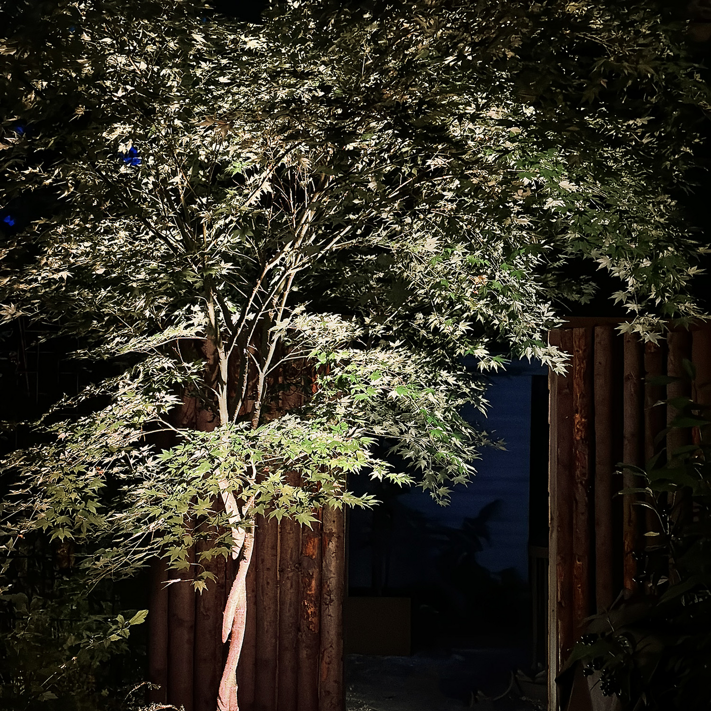 MARKSPOT LIGHTSON ARCUS SMART