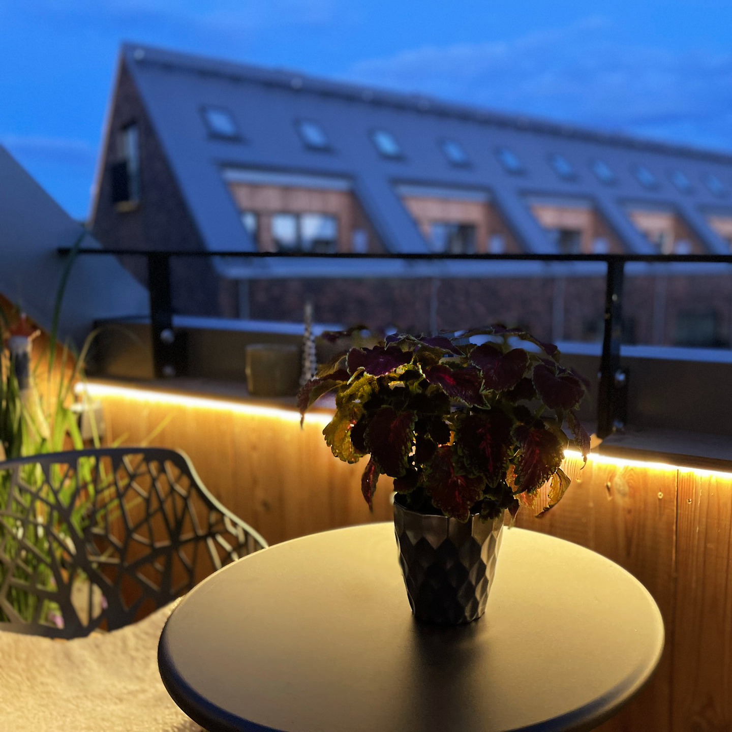 LJUSBAND STRIP 5M  LIGHTSON