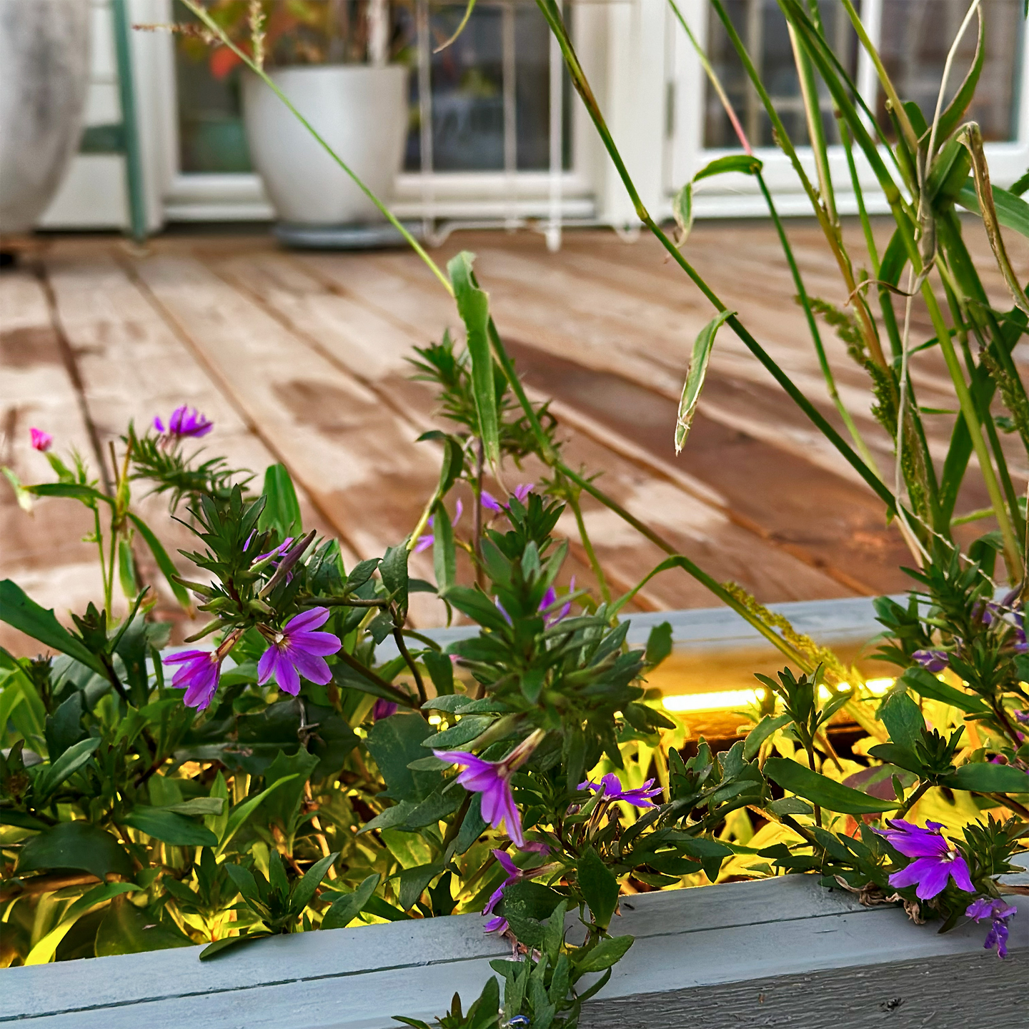 LJUSBAND STRIP 5M  LIGHTSON