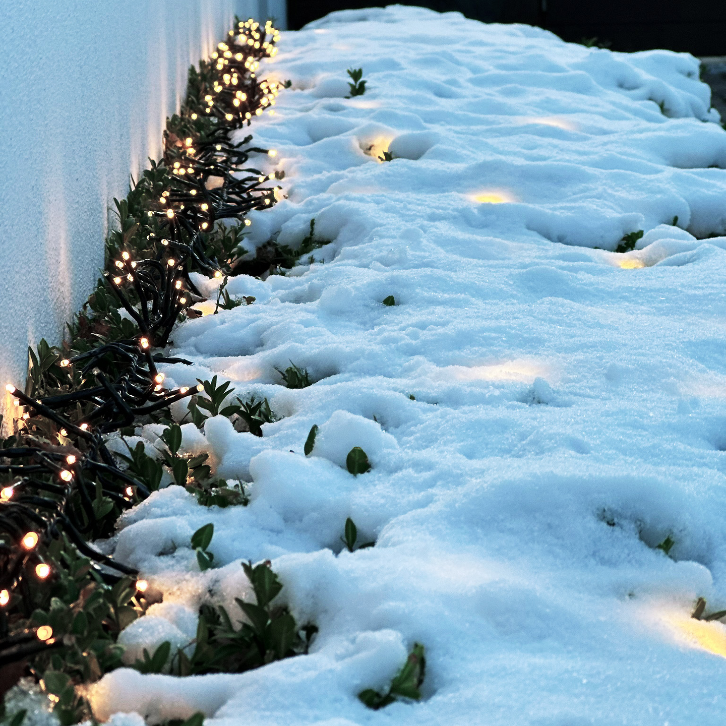 LJUSSLINGA LIGHTSON BLISS 500LED 5M