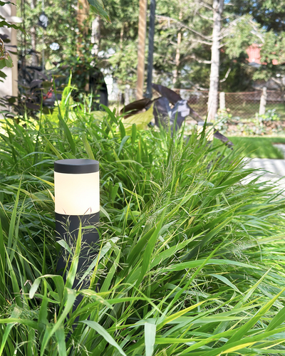 POLLY POLLARE LIGHTSON