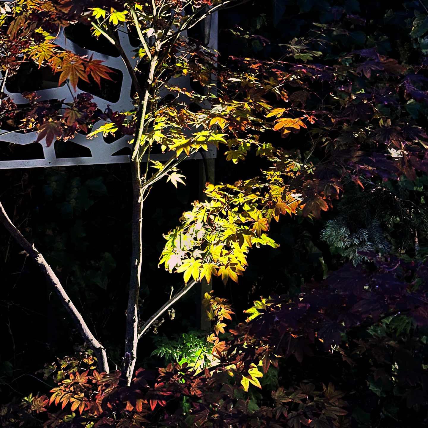 MARKSPOT LIGHTSON ASTRO SVART