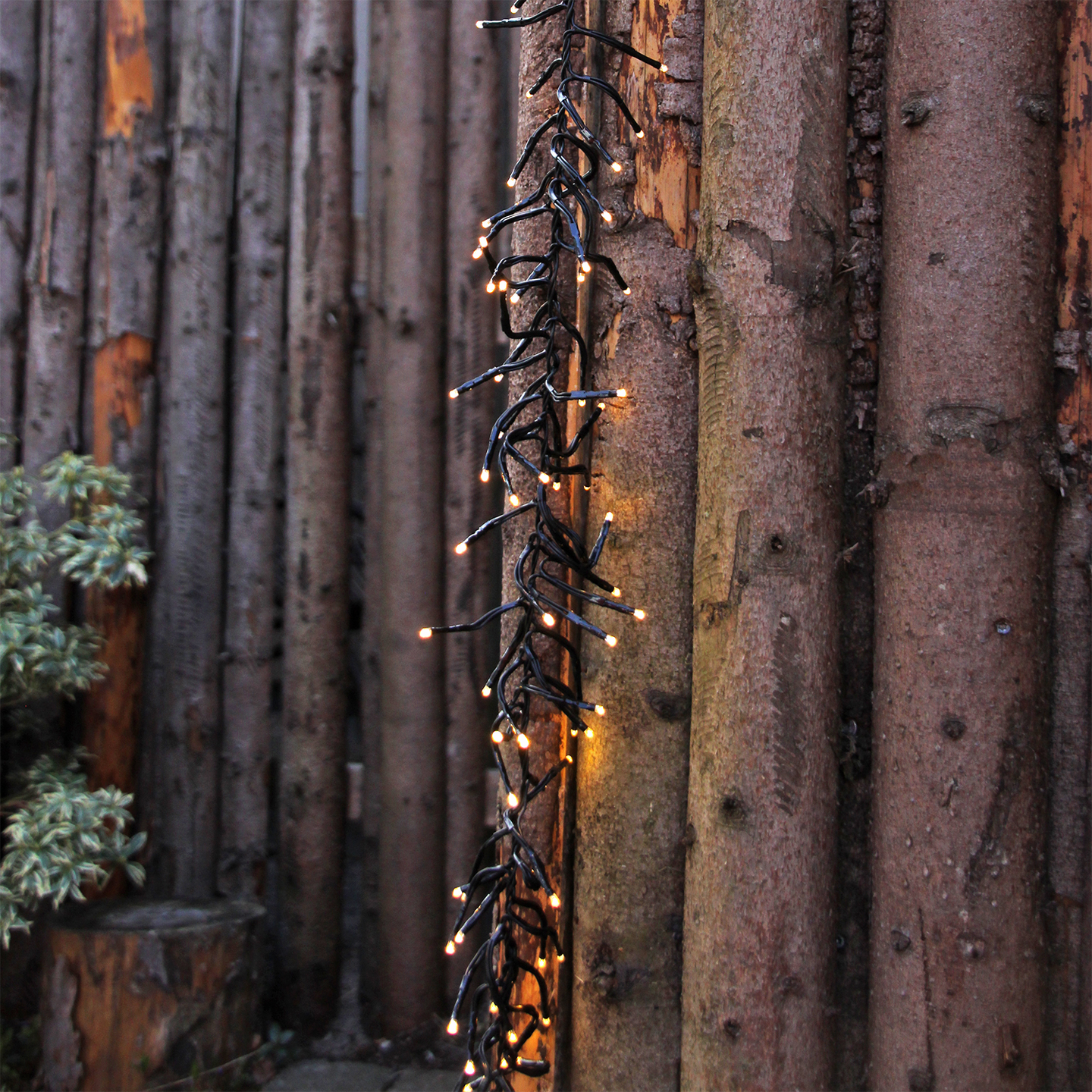 LJUSSLINGA LIGHTSON BLISS 500LED 5M