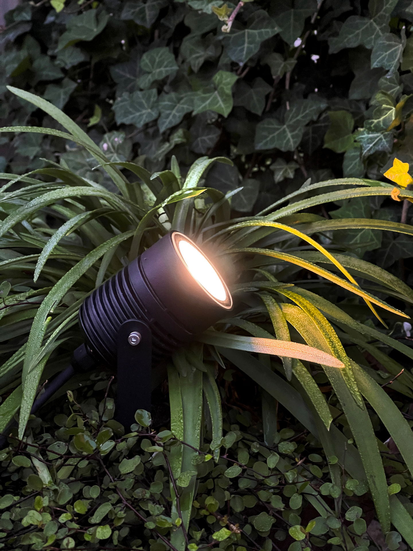 MARKSPOT LIGHTSON NOVA SMART