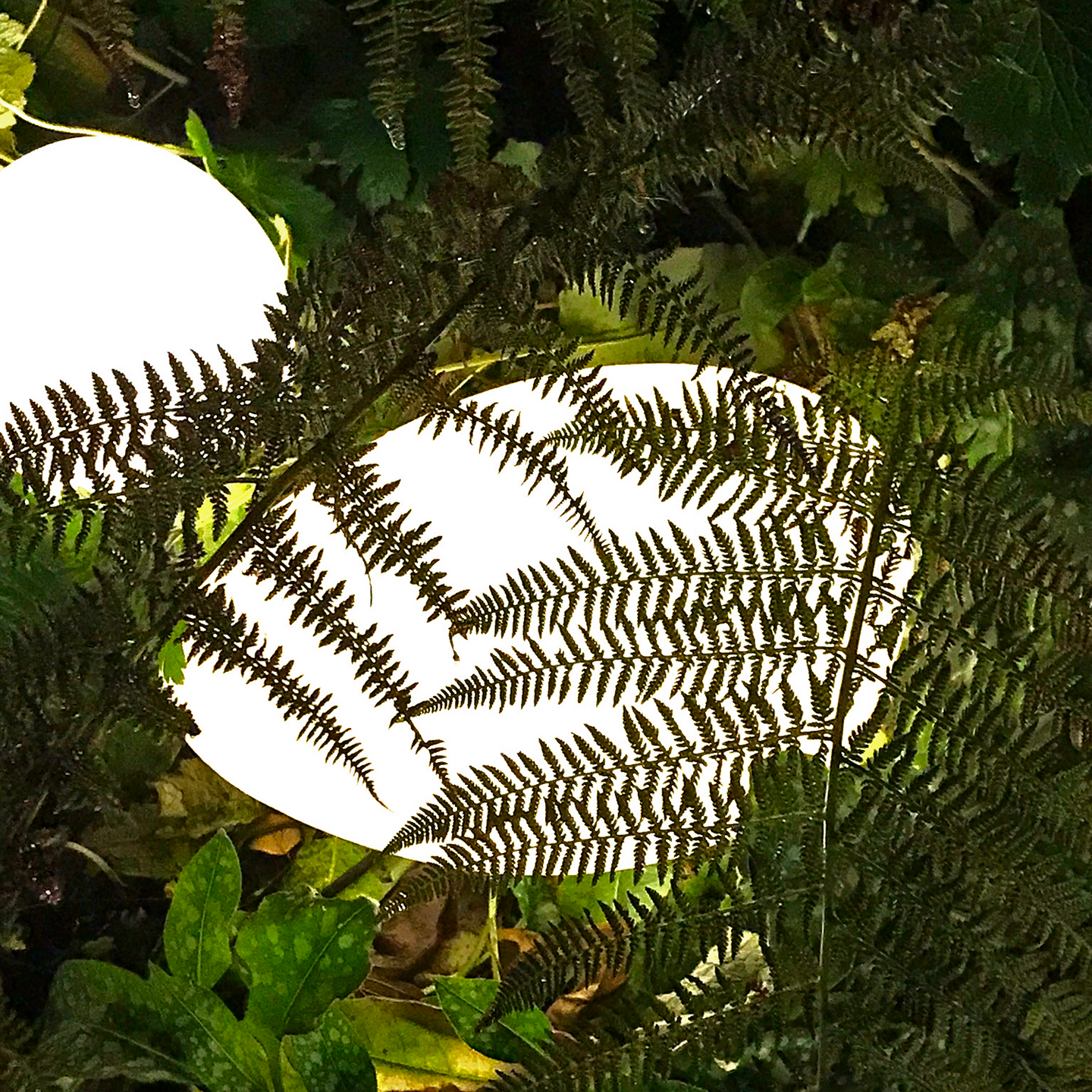 TRÄDG.BELYSN. LIGHTSON STONE 2W 25CM