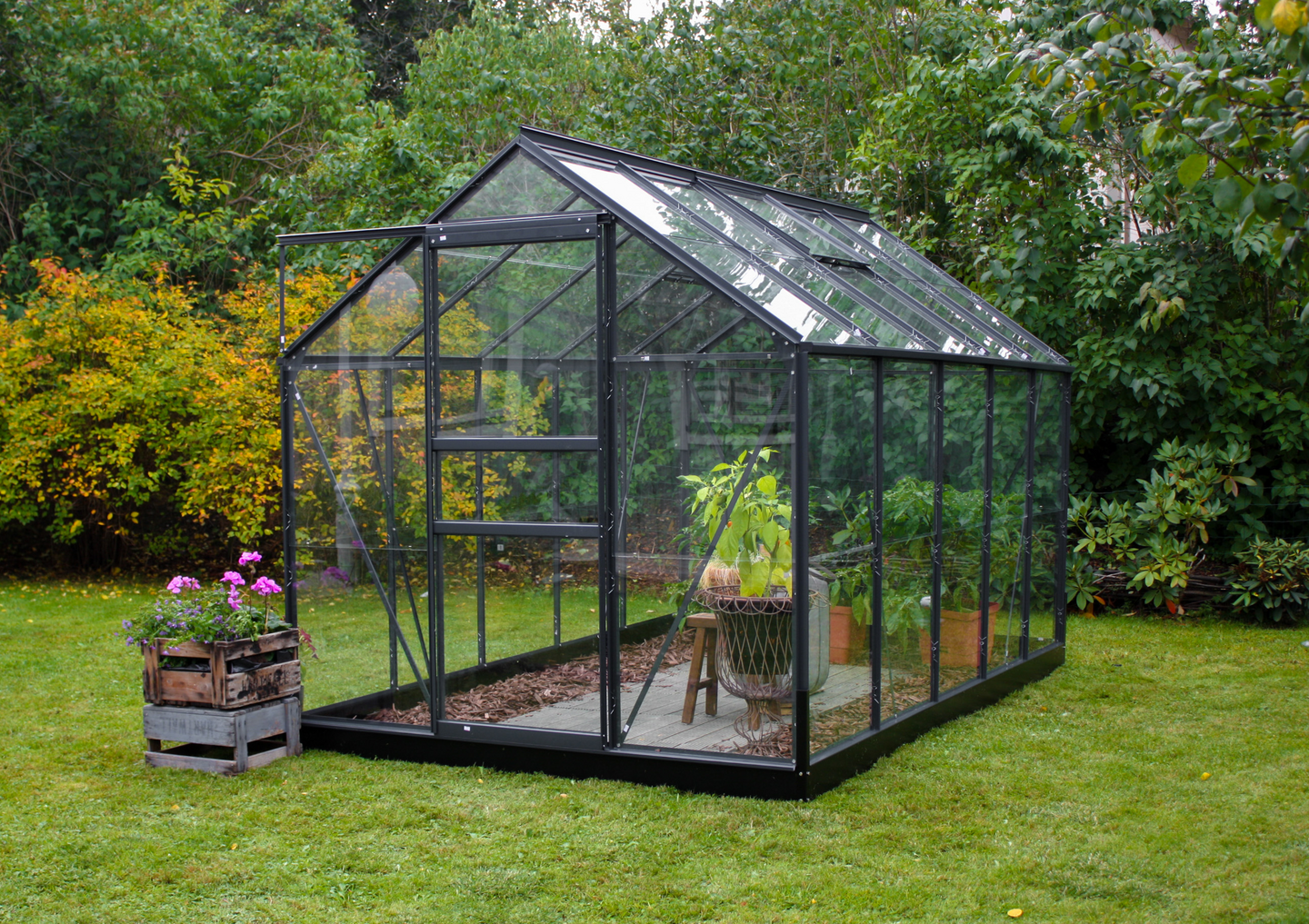 Kasvihuone Popular 6,2m² musta alumiinirunko