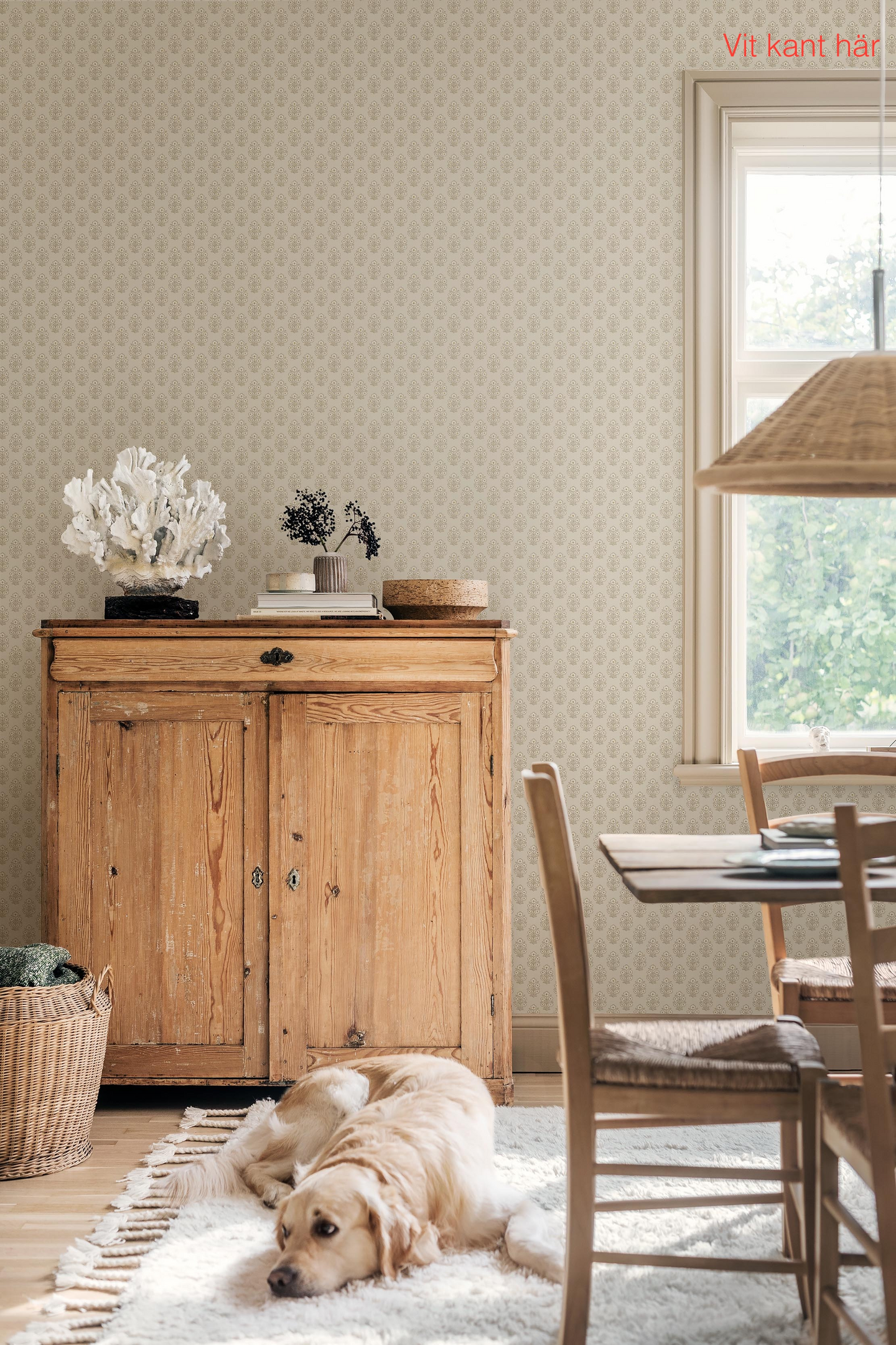 Kuitutapetti Boråstapeter Charm 8164 Sibylla 10,05m