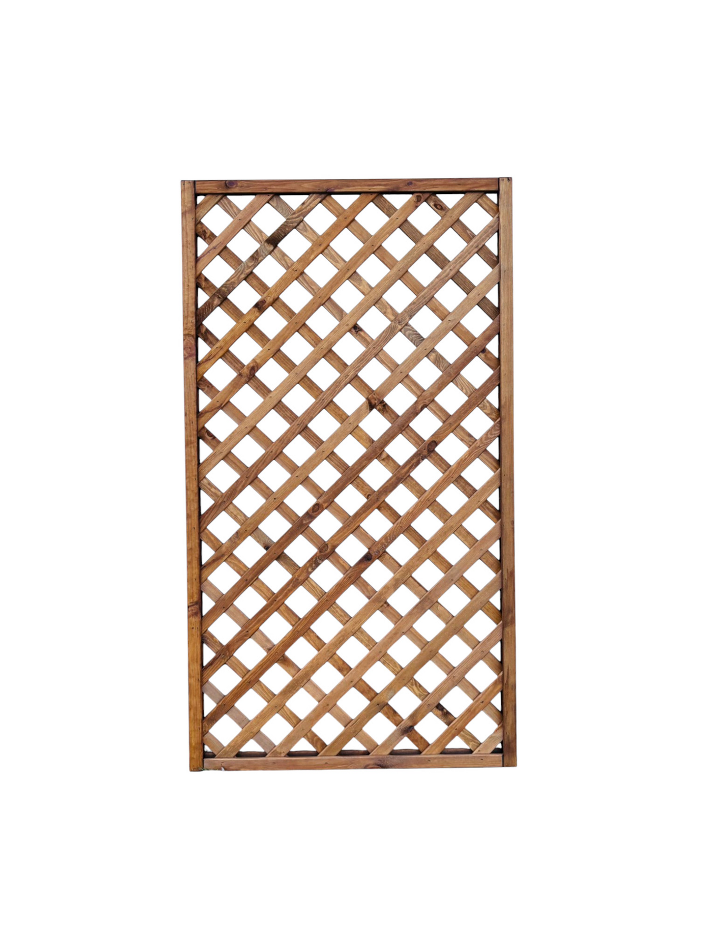 Köynnösaita Goodiy Karpalo 100x180cm