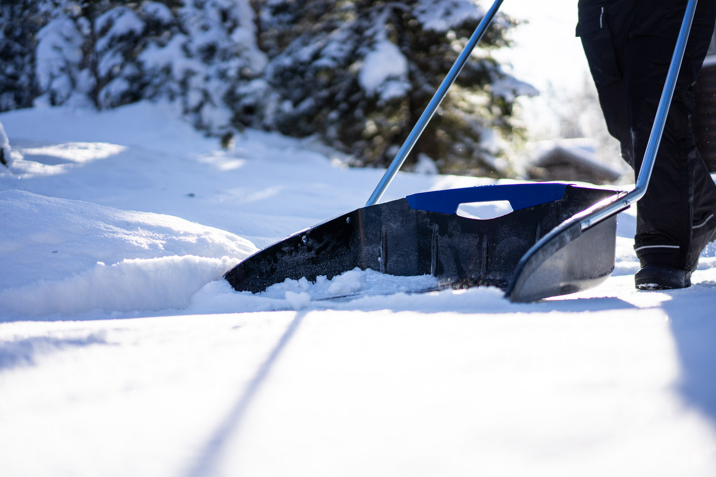 Lumikola Masi Nova max