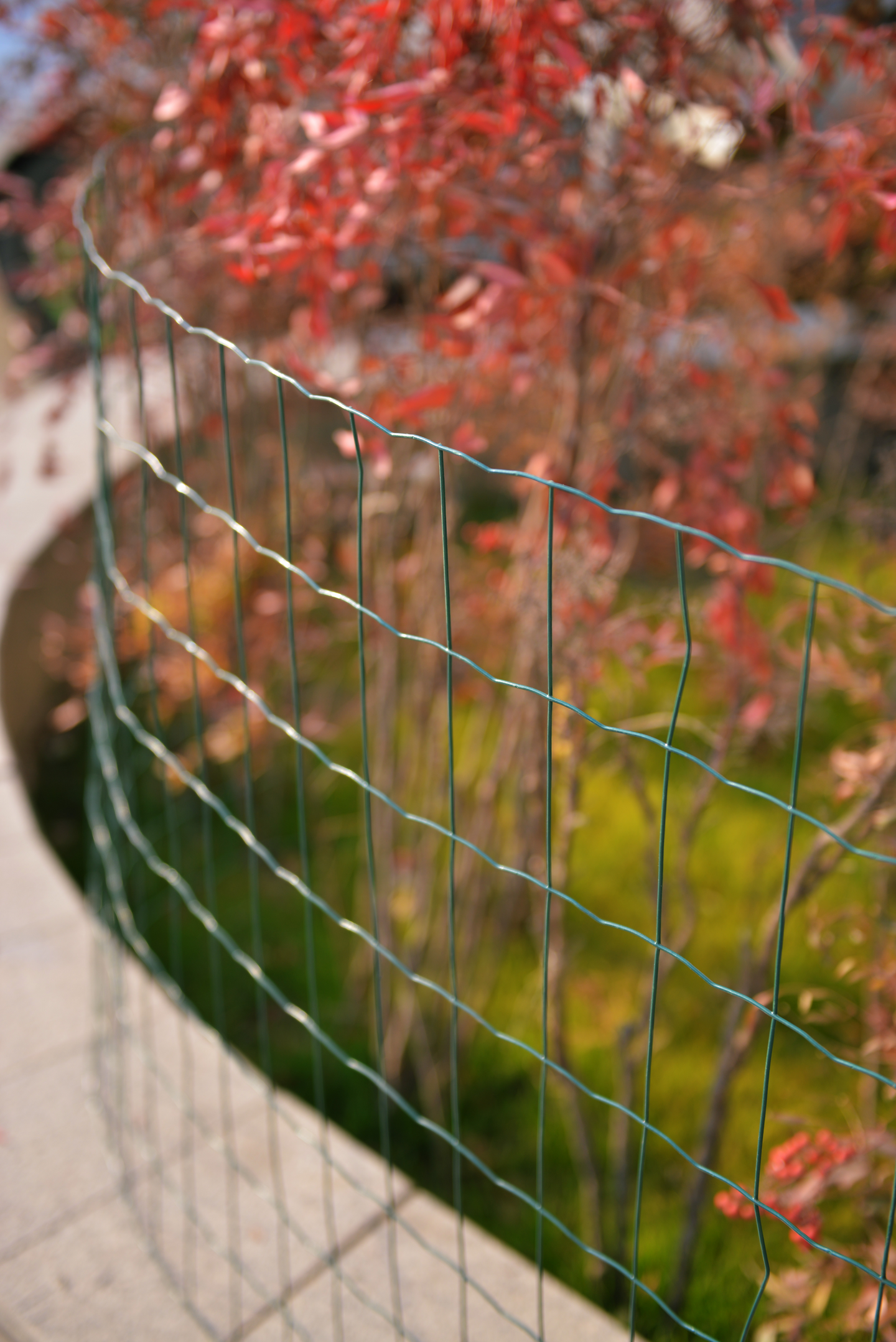 Aitaverkko FXA 80cmx25m 100x50mm vihreä