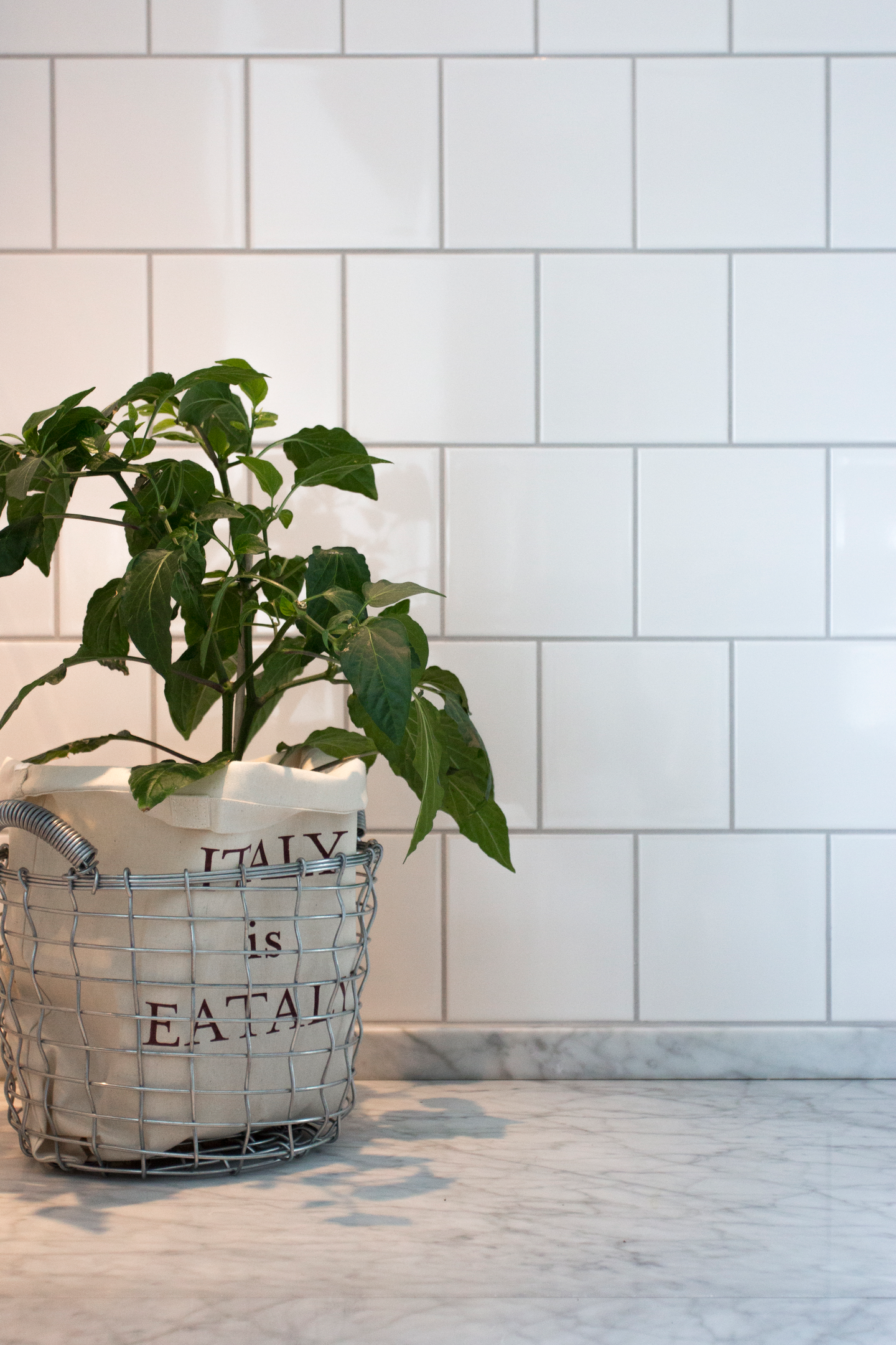 KAKEL COLOUR BASIC B VIT 15X15 BL 1,5M²/FP