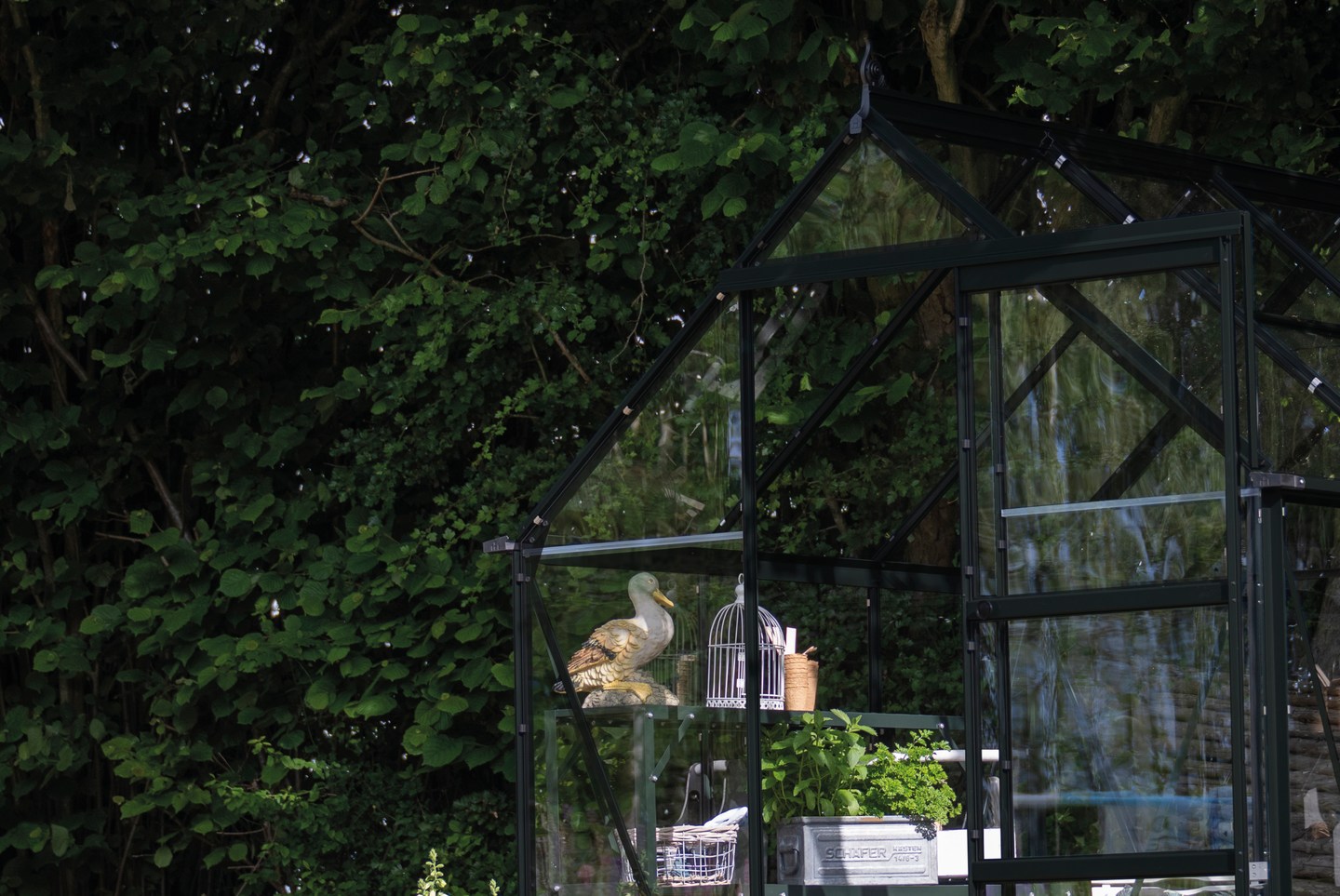 Kasvihuone Icon 6,2m2 turvalasit