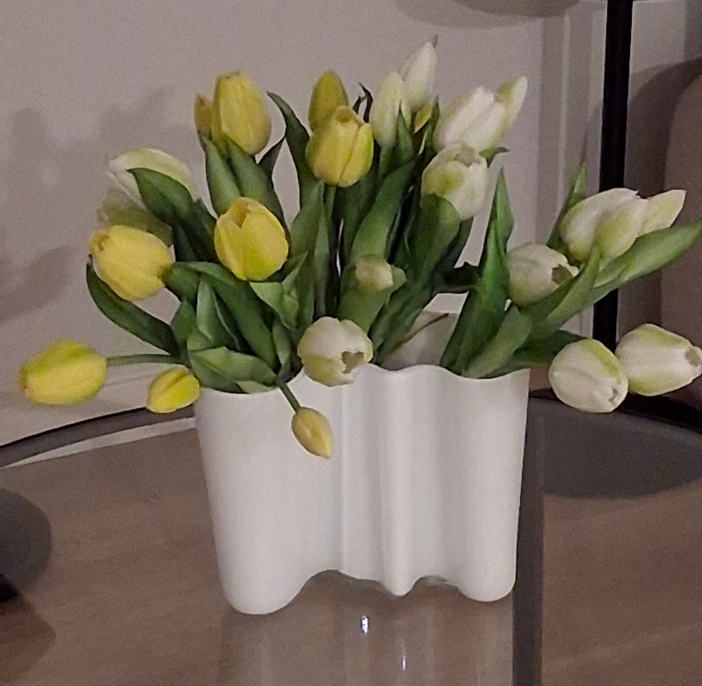 Tulppaanikimppu 5 kpl 30cm valkoinen