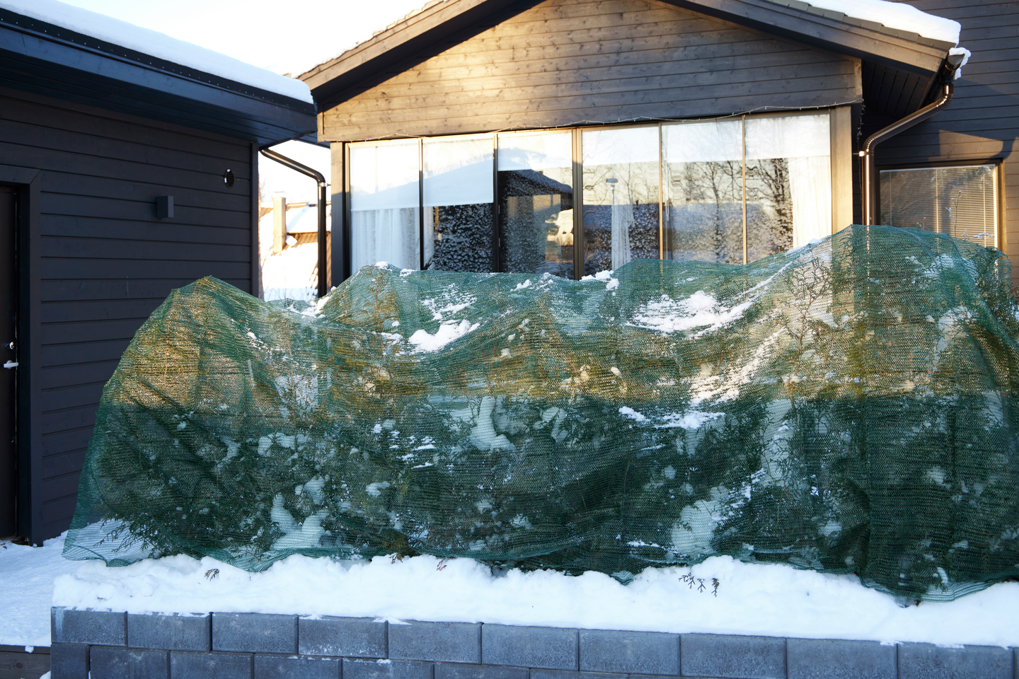 Varjostuspeite Cello 20m² 3,6x5,6m