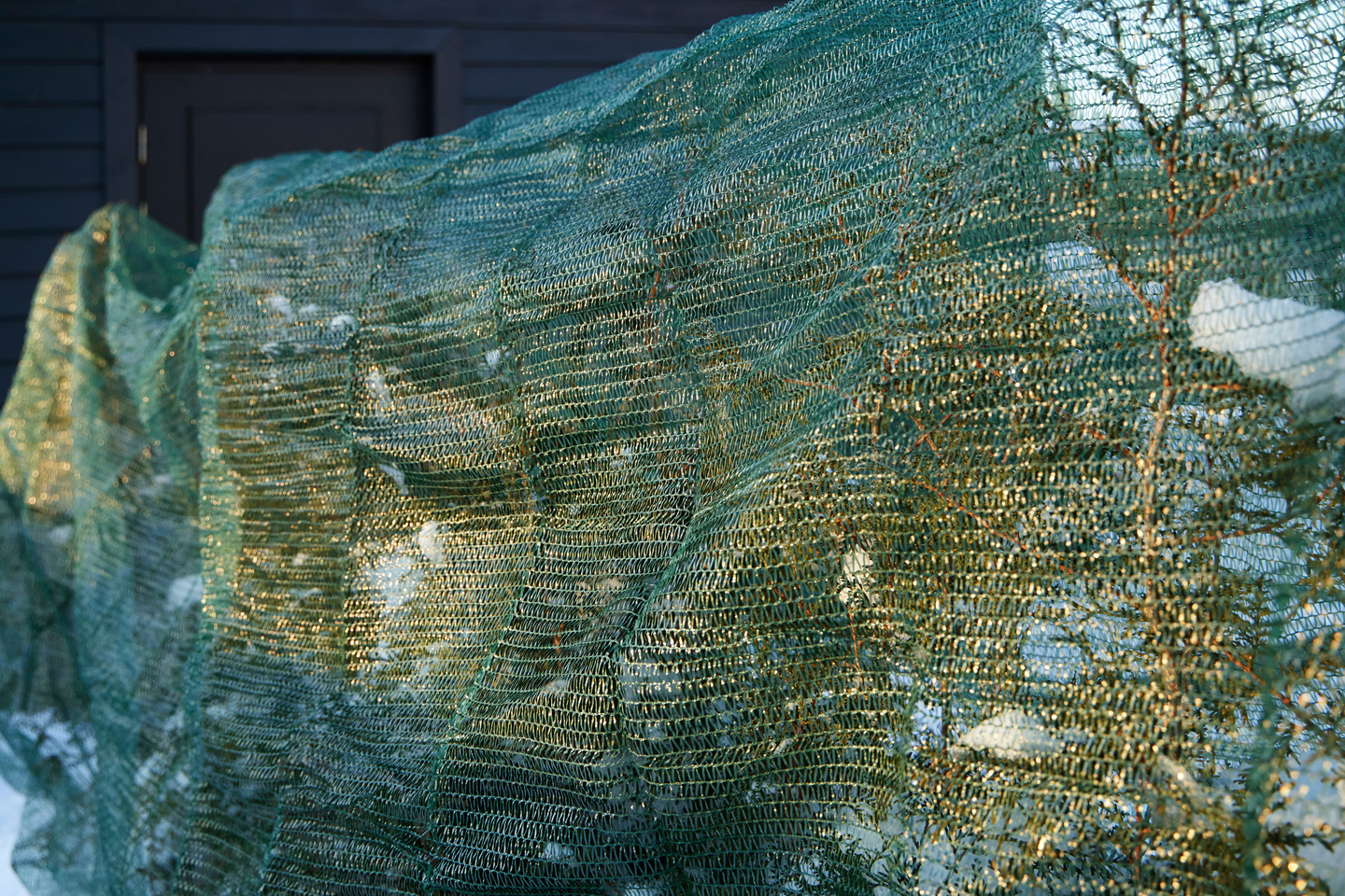 Varjostuspeite Cello 20m² 3,6x5,6m