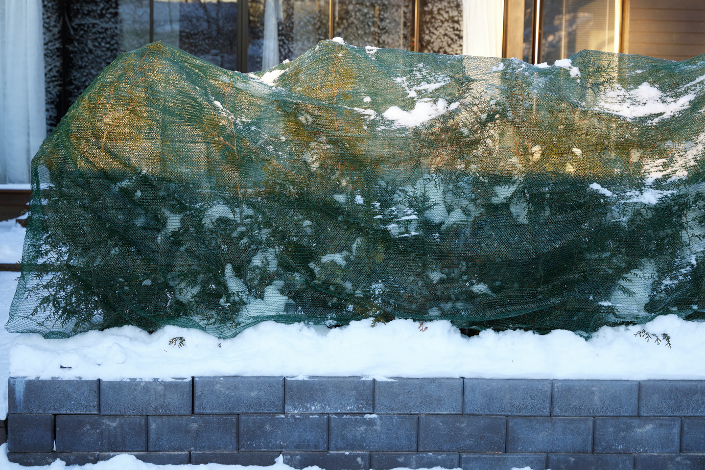 Varjostuspeite Cello 10m² 3,6x2,8m