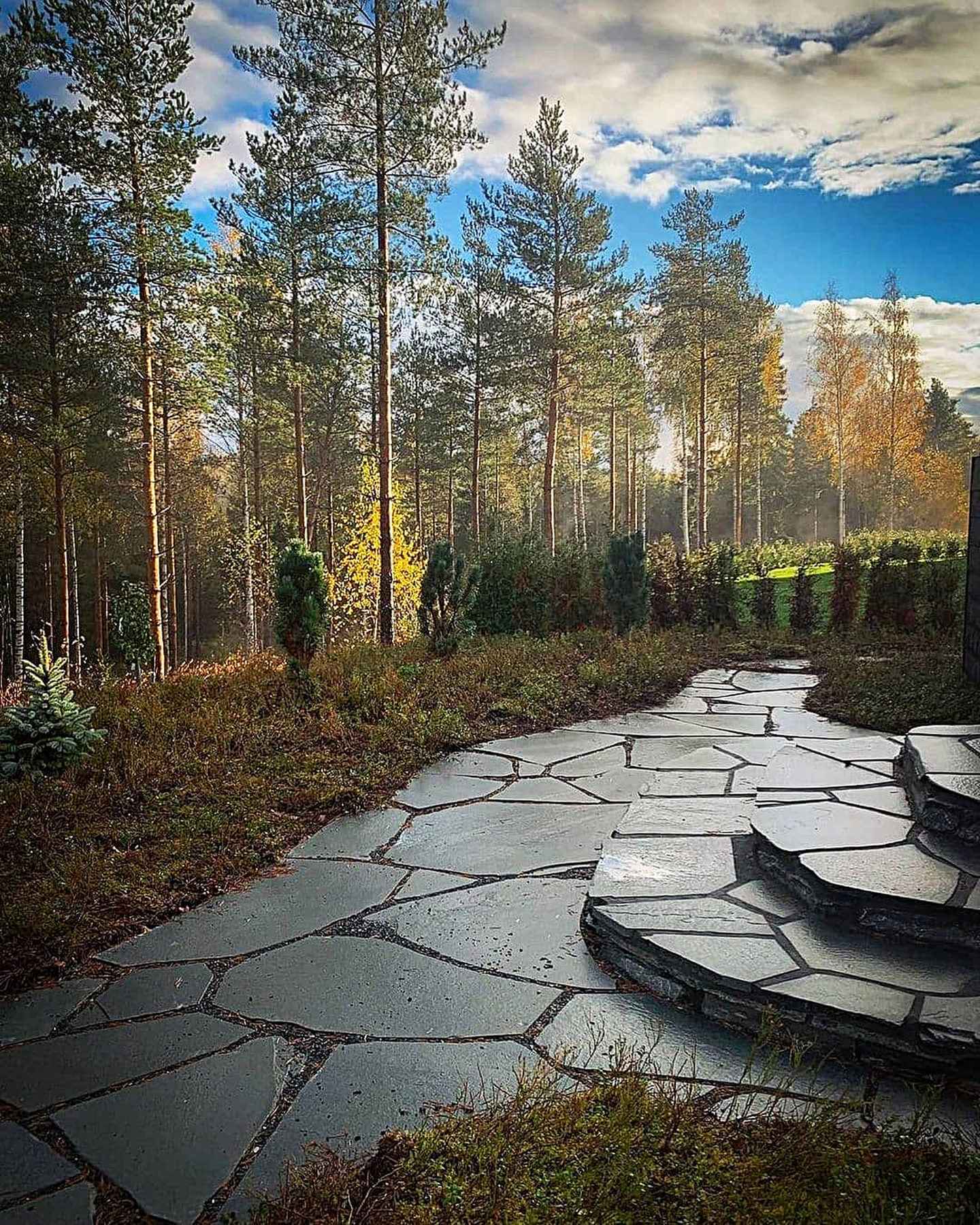 Liuskekivi Alta harmaa lava 5,0m2