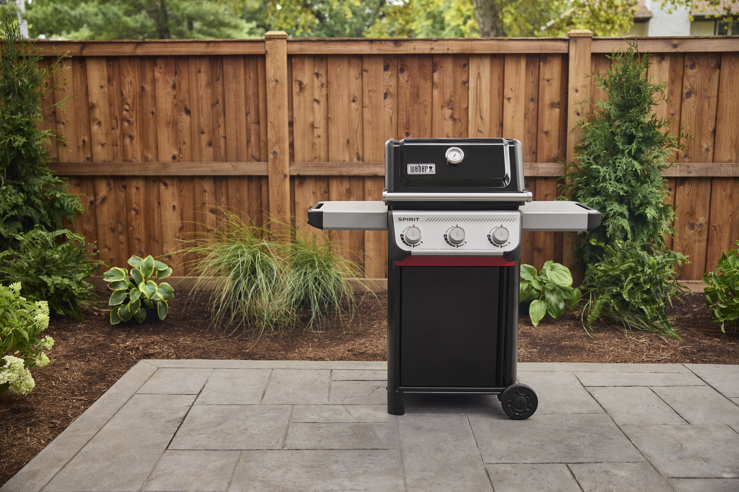 Kaasugrilli Weber Spirit E-310