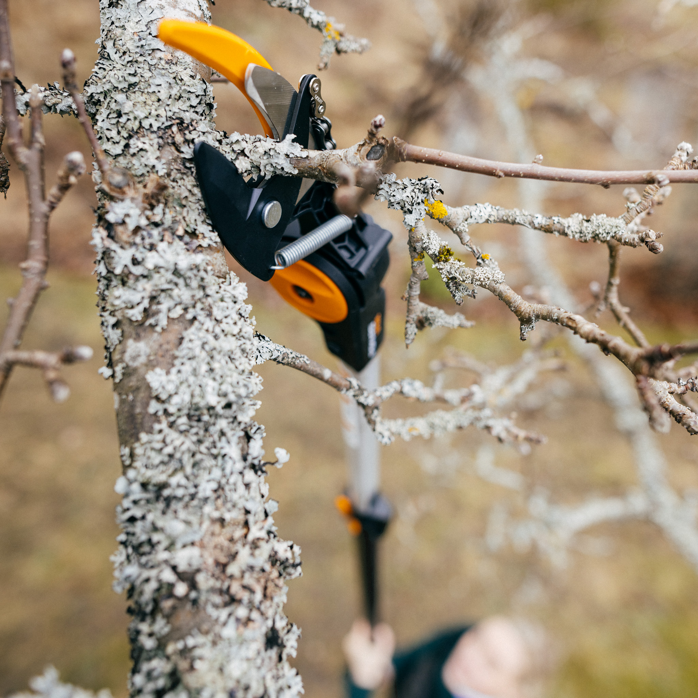 Monitoimileikkuri Fiskars PowerGear X teleskooppi UPX86