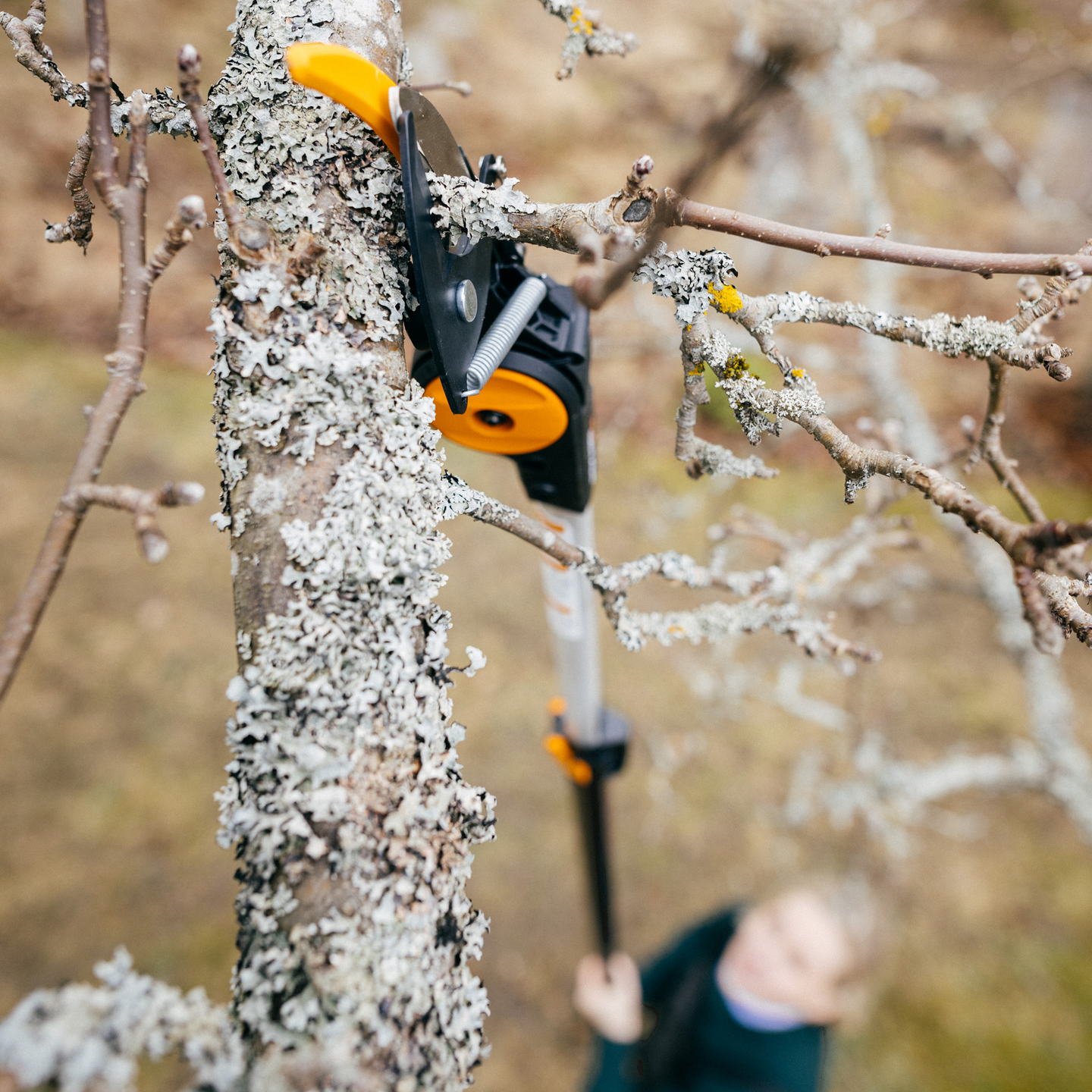 Monitoimileikkuri Fiskars PowerGear X teleskooppi UPX86