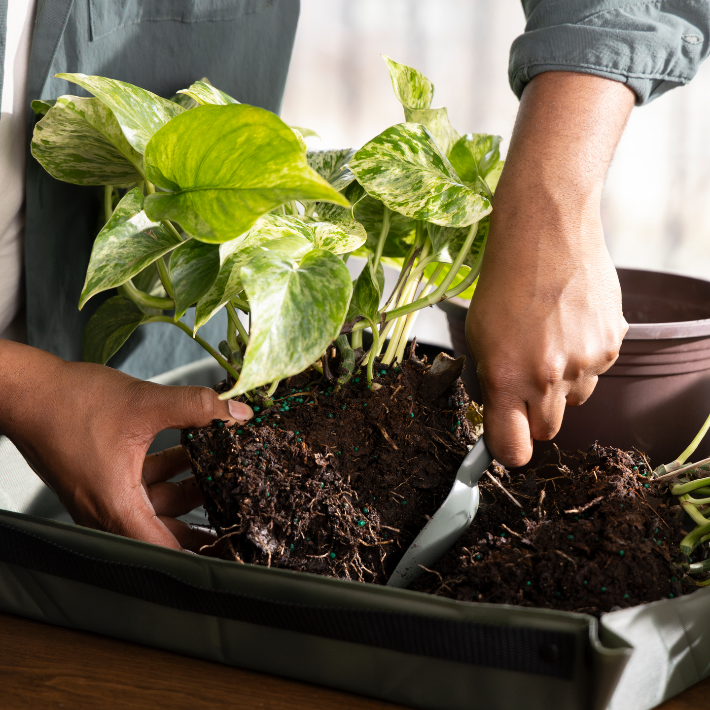 Lehtiharava L + varsi L Fiskars OneClick