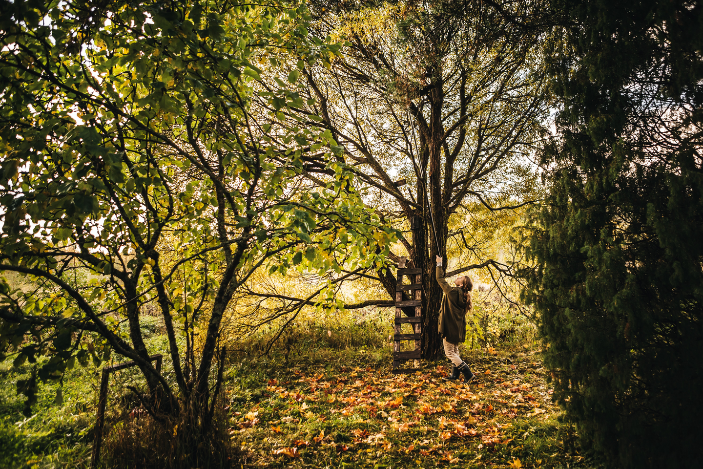 Monitoimileikkuri Fiskars PowerGear X teleskooppi UPX86