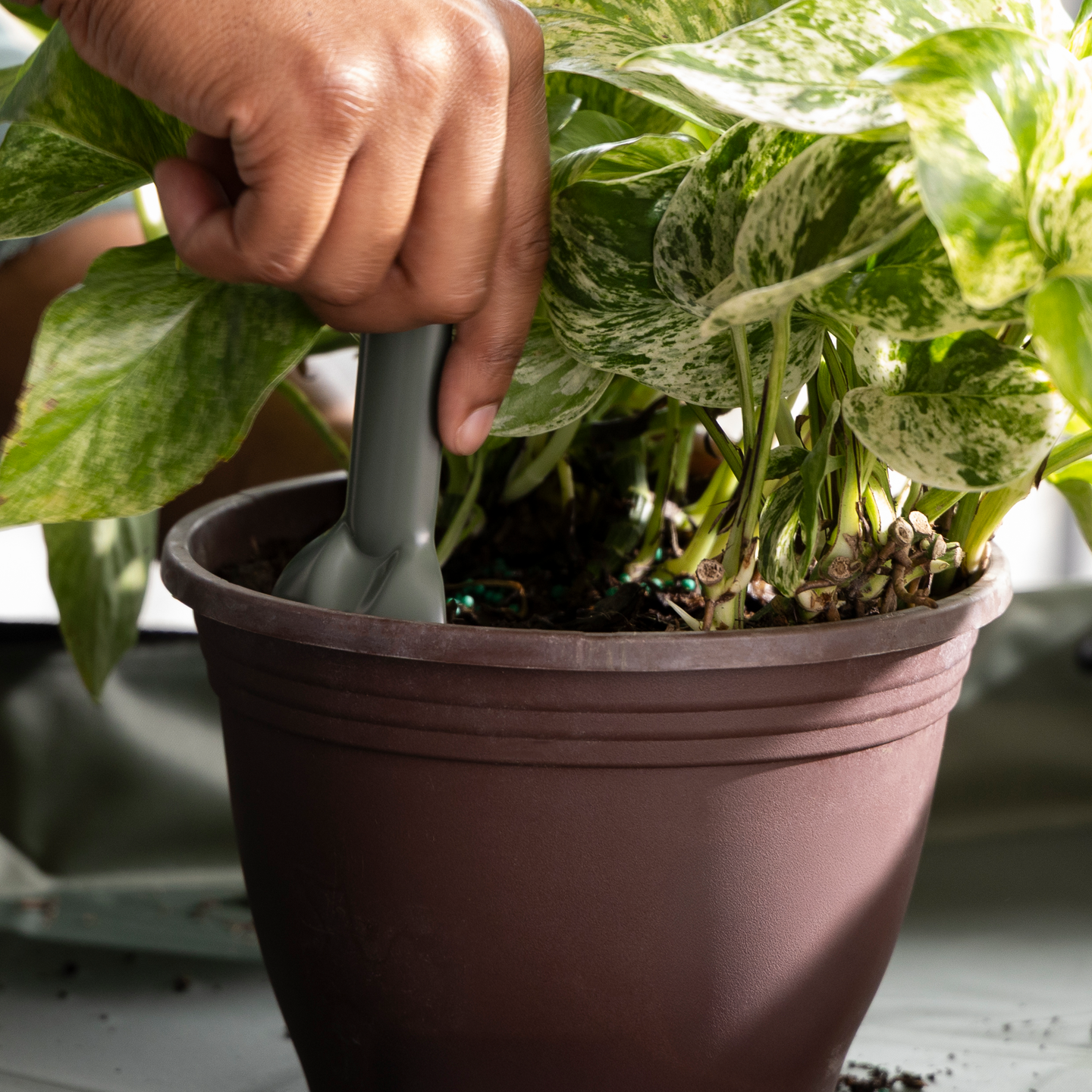 Lehtiharava L + varsi L Fiskars OneClick