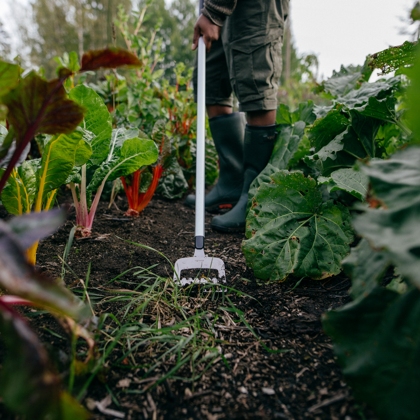 Rikkaruohorauta Fiskars Xact 150mm