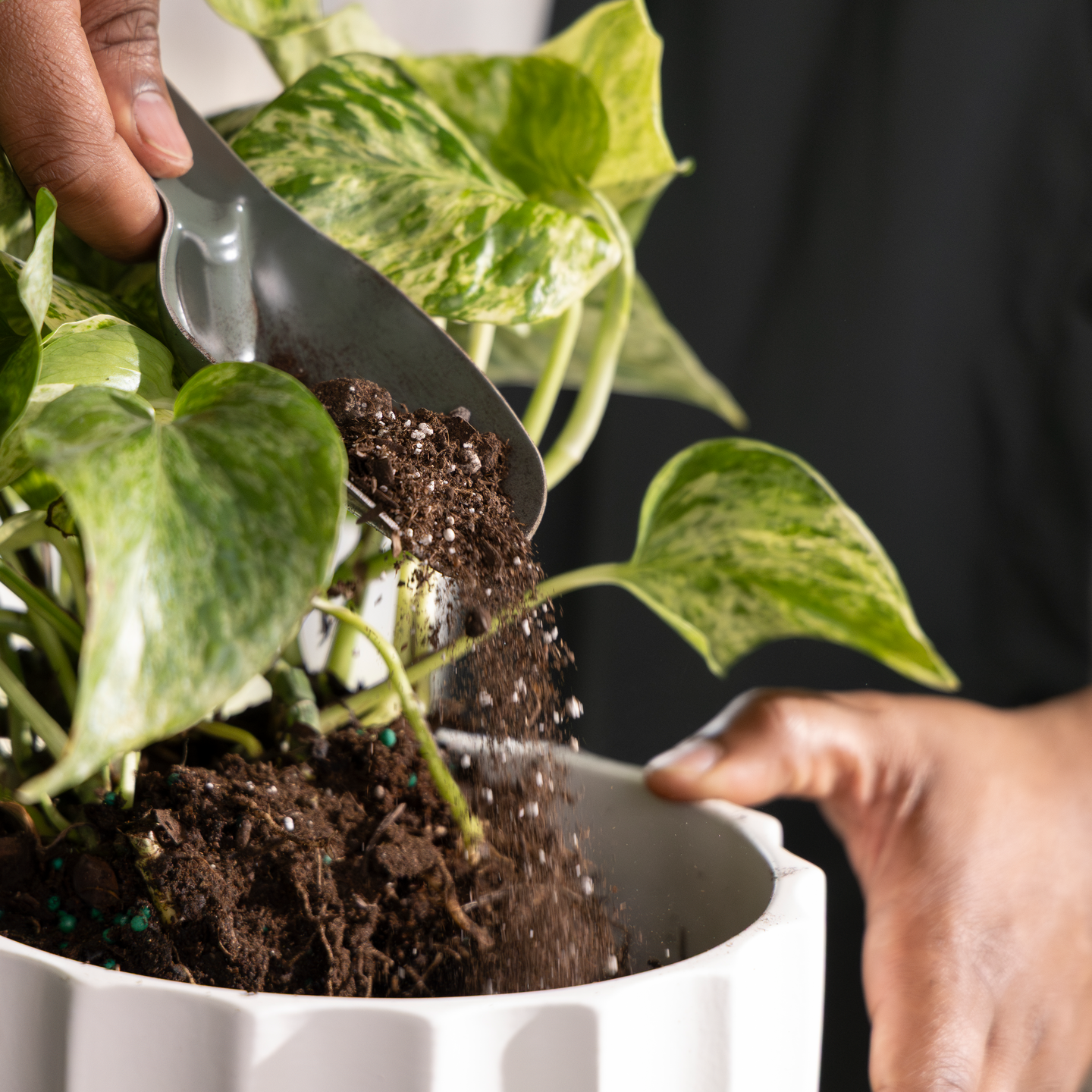 Lehtiharava L + varsi L Fiskars OneClick