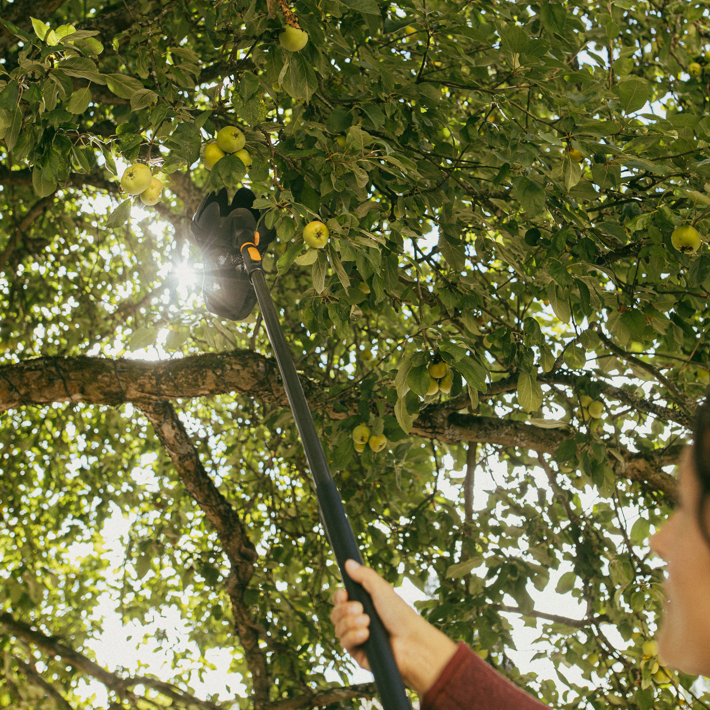 Teleskooppivarsi M Fiskars OneClick