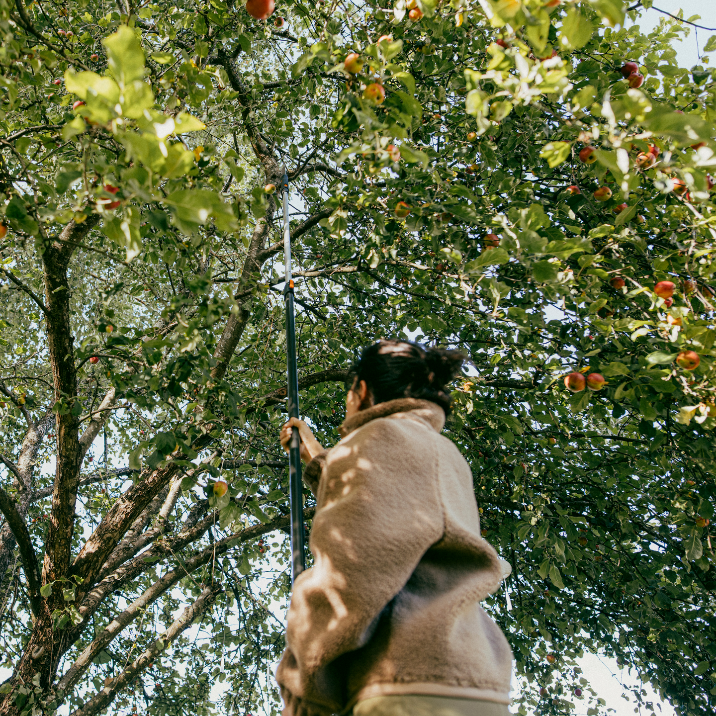 Teleskooppivarsi L Fiskars OneClick