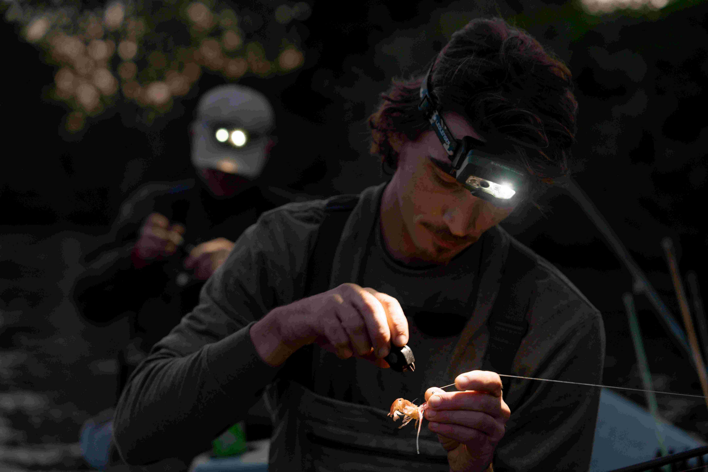 Otsalamppu Ledlenser HF8R Core RGB camo 1600lm ladattava